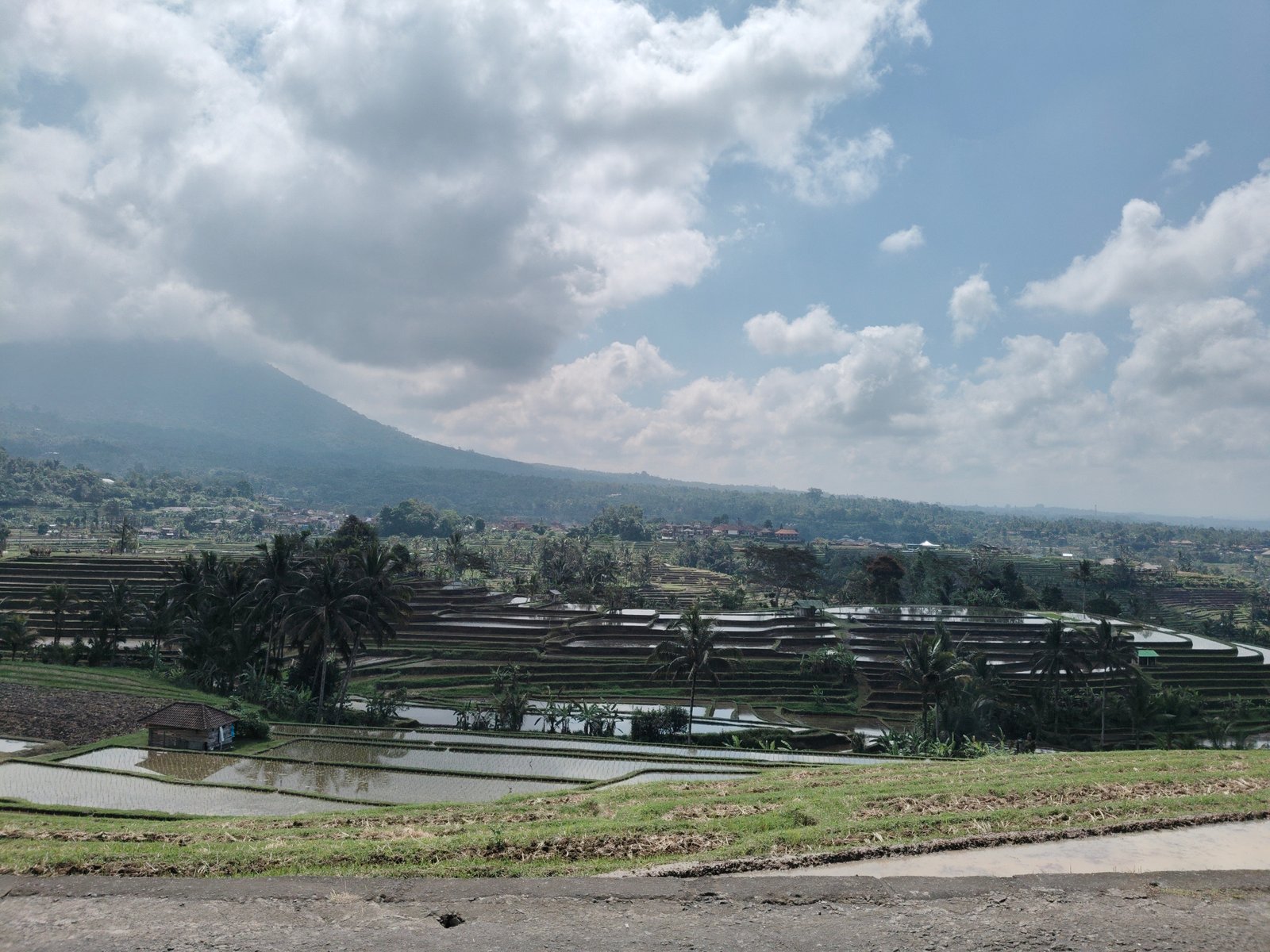 Rice terraces in Sidemen Valley, East Bali